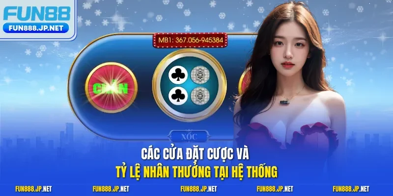 Các cửa đặt cược và tỷ lệ nhân thưởng tại hệ thống
