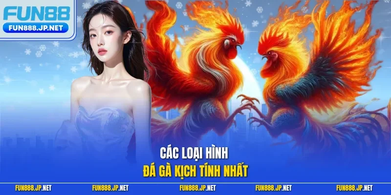 Các loại hình đá gà kịch tính nhất