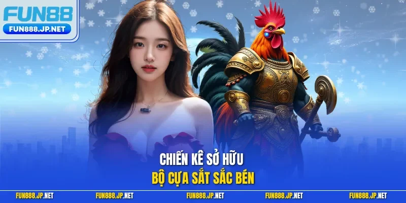 Chiến kê sở hữu bộ cựa sắt sắc bén