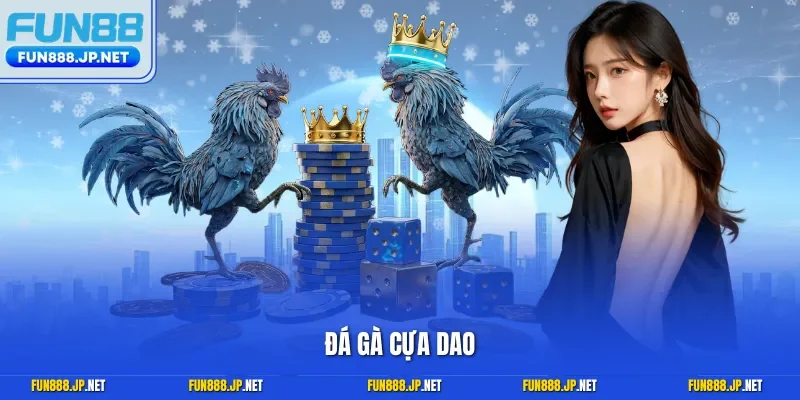 Đá gà cựa dao
