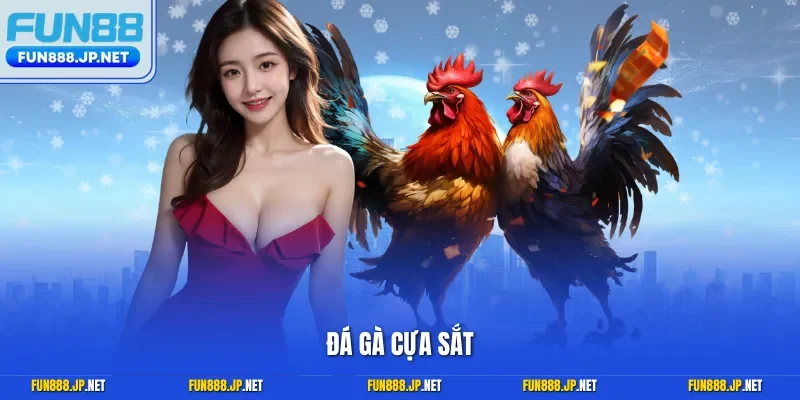 Đá gà cựa sắt