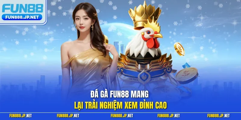 Đá gà FUN88 mang lại trải nghiệm xem đỉnh cao