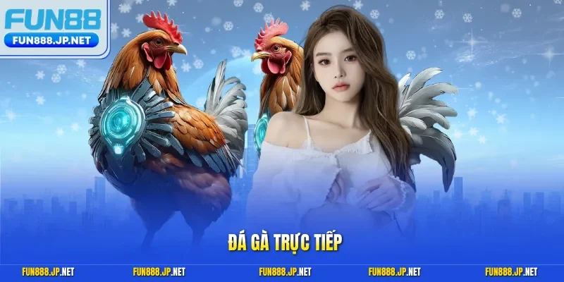 Đá gà trực tiếp