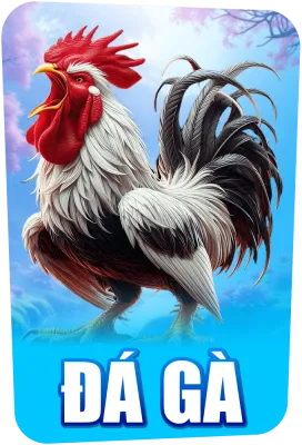 Đá gà