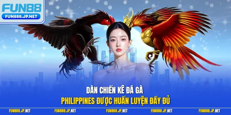 Dàn chiến kê đá gà Philippines được huấn luyện đầy đủ