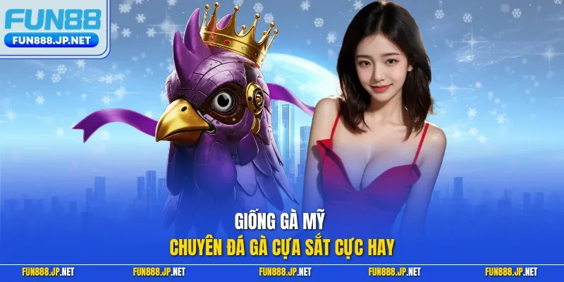 Giống gà Mỹ chuyên đá gà cựa sắt cực hay