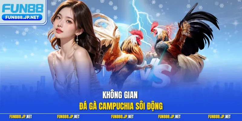 Không gian đá gà Campuchia sôi động
