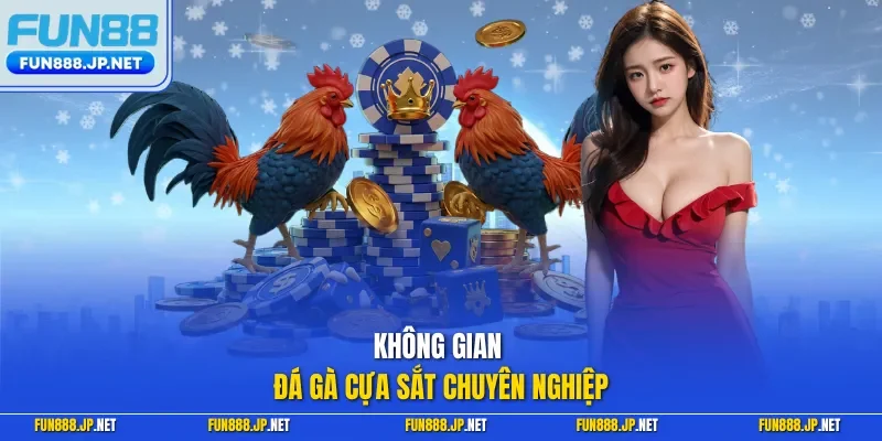 Không gian đá gà cựa sắt chuyên nghiệp