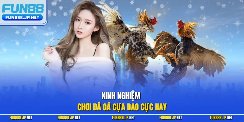 Kinh nghiệm chơi đá gà cựa dao cực hay