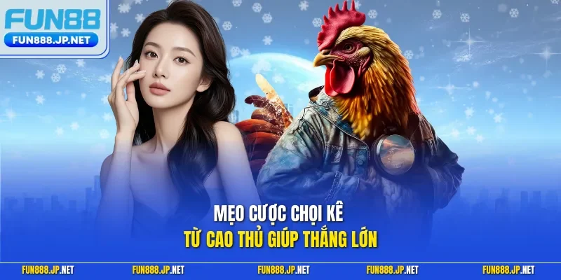 Mẹo cược chọi kê từ cao thủ giúp thắng lớn