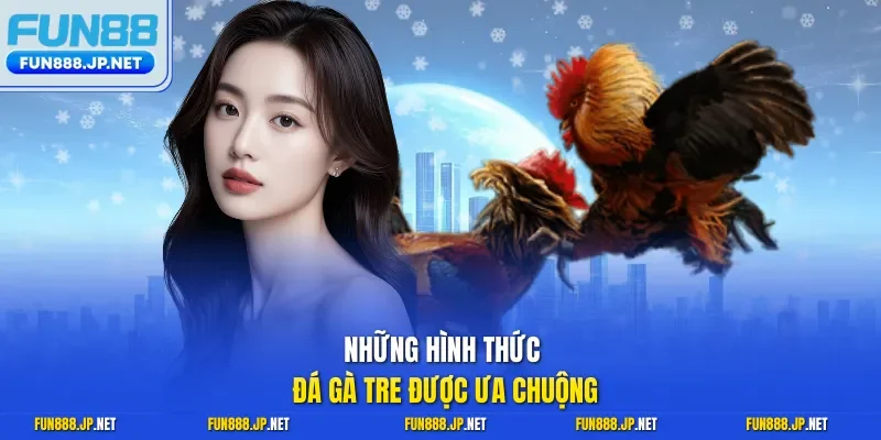 Những hình thức đá gà tre được ưa chuộng