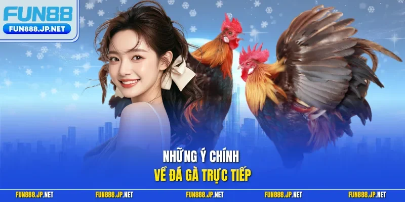 Những ý chính về đá gà trực tiếp