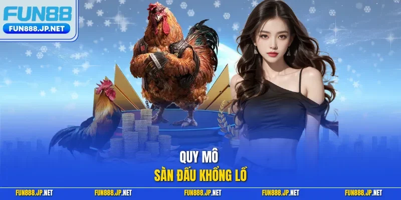 Quy mô sàn đấu khổng lồ