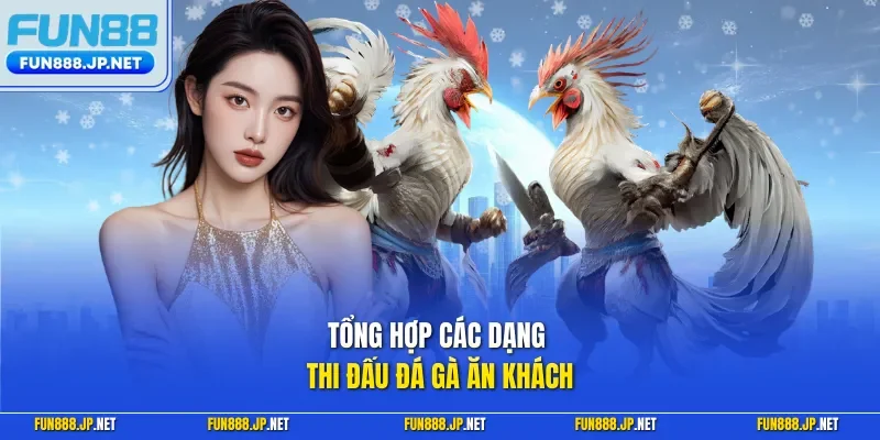 Tổng hợp các dạng thi đấu đá gà ăn khách